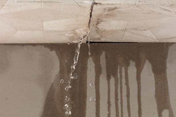 Professional Burst Pipe Cleanup technician working in Burlington, TX